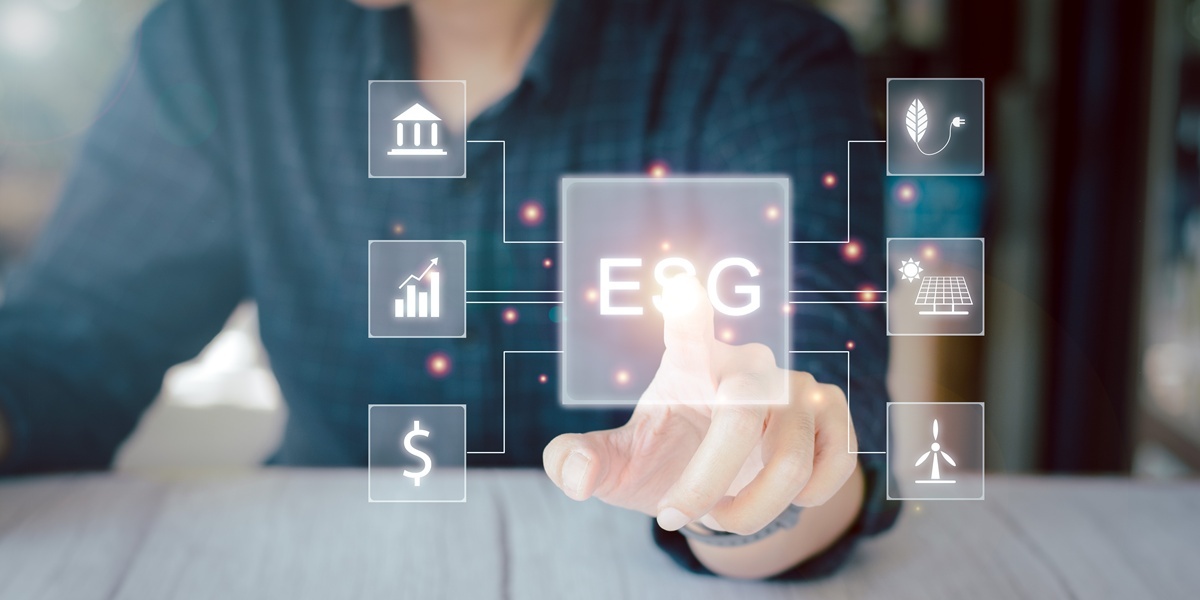Casos de Sucesso: Empresas que se Destacam pela Responsabilidade Social
